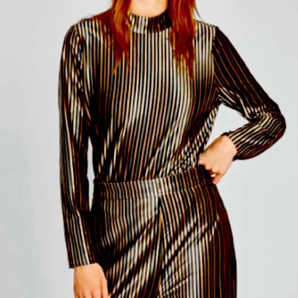 Zara Metallic Striped Mock Turtleneck Long Sleeve Velvet Top size Small